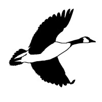 Wild Goose LLC