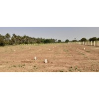 STAR PROMOTERS AND TOWN CITY DEVELOPERS logo - Similar company to Magsoft International