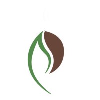 Dikicha coffee export company logo - Similar company to Kelilullah Trading