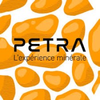 Petra Montaigu logo - Similar company to Interieurs Creatifs
