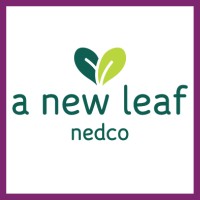Neighborhood Economic Development Corporation Az