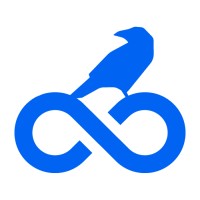 Ravenloop logo - Similar company to Nettaro