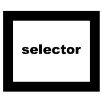 Selector Funds Management Limited logo - Similar company to Geo Exploration Limited