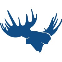 Bull Moose Progressive Marketing