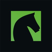 Strateji logo - Similar company to 303Direct