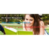 Essay Writing Experts logo - Similar company to Essayedge