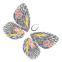 Crisalide Trading logo - Similar company to Brazilian Soybean