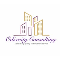 Odixcity Consulting logo - Similar company to First Connect Edge