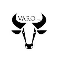 Varo-Real Investments INc logo - Similar company to Distorzion