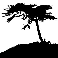 Inmytree Filmworks