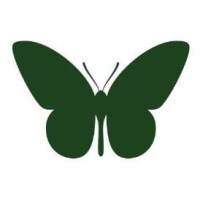 Butterfly Next logo - Similar company to Gluck Technologies Private Limited