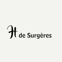 H de Surgères logo - Similar company to Aunis Interim Surgères