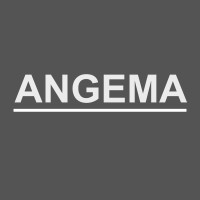 ANGEMA logo - Similar company to Angemmanuel