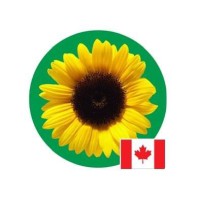 Hidden Disabilities Sunflower - Canada 🌻🇨🇦 logo - Similar company to Spice Fun Inc.