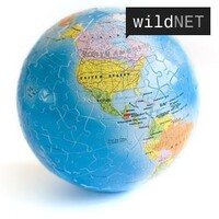 wildNET logo - Similar company to Mistmind