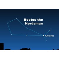 Arcturus ltd logo - Similar company to Slim Tea Pro