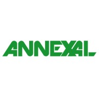Annexal logo - Similar company to Dreamtech Engineering