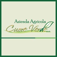 Cuore Verde ssa logo - Similar company to Big Project Srl
