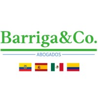 Barriga&Co logo - Similar company to Adaindira Projects