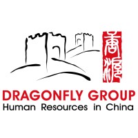 Dragonfly Group HR Consulting logo - Similar company to Two Lakes Group