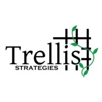 Trellis Strategies (Quantitative Multi Strategies) logo - Similar company to Whooshpro - Web Design And Software Development