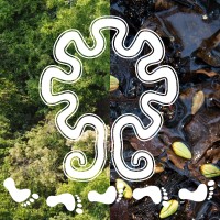 SENDAS, A.C. logo - Similar company to Penka