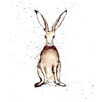 Cindy Webster Cooks Ltd logo - Similar company to Silver Teal Cooks