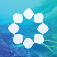 Stone Living Lab logo - Similar company to Coastal Foundation Solutions