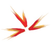 ASCENT STAFFING SOLUTIONS PRIVATE LIMITED logo - Similar company to Ascent