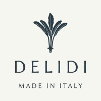 Delidi logo - Similar company to Dsd (Dieudonne Sécurité Distribution)
