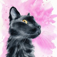 CCR Feline Research Center logo - Similar company to Citizn.Xyz