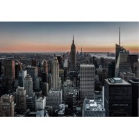 Vine Alternative Investments, LLC logo - Similar company to D3X Studio