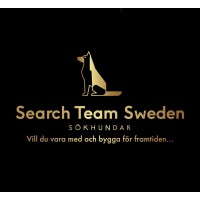 Search Team Sweden logo - Similar company to Airintel