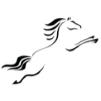 Capriole Energy logo - Similar company to Redbone Resources