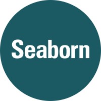 Seaborn Networks logo - Similar company to Vogel Telecom