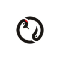 Turucame ltd. logo - Similar company to Framersites.Com