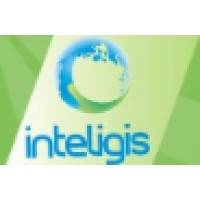 Inteligis/LSI logo - Similar company to Inteligis Sa De Cv