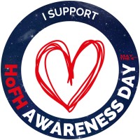 FH Europe Foundation logo - Similar company to Stichting Leefh