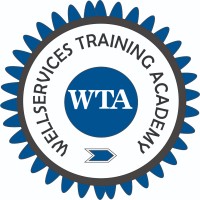 WellServices Training Academy logo - Similar company to Hackfrica.Co