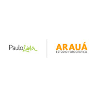 Estúdio Arauá logo - Similar company to Estúdio Bingo