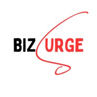 BizSurge logo - Similar company to Bits And Bytes
