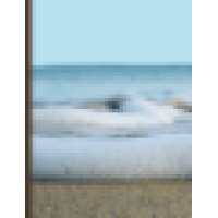 Gentle Transitions logo - Similar company to Wellrive