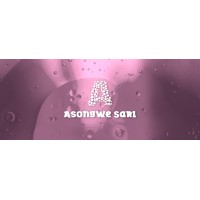 ASONGWE SARL logo - Similar company to Lista