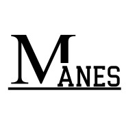 Manes Makina Mühendislik logo - Similar company to Manes Robotics