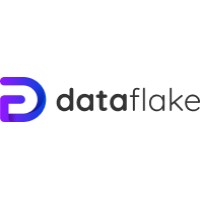 Dataflake logo - Similar company to Dataflake Llc-( E-Verified )