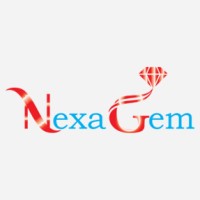 Nexagem logo - Similar company to Netix