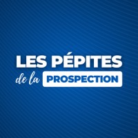 Les Pépites de la Prospection logo - Similar company to Business Booster