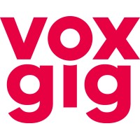 Voxgig logo - Similar company to Axonista
