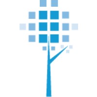 Blue Pando Llc