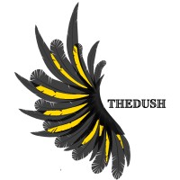 Thedush Robotics logo - Similar company to Virtual Frontier Robotics
